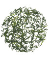 Loose leaf Japanese green tea Gyokuro Kusanagi Organic