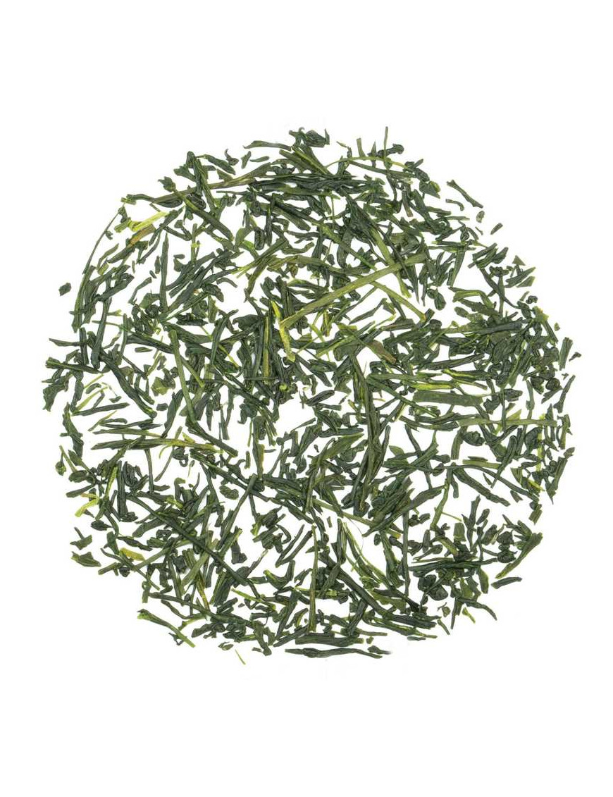 Loose leaf tea Gyokuro Mikoto