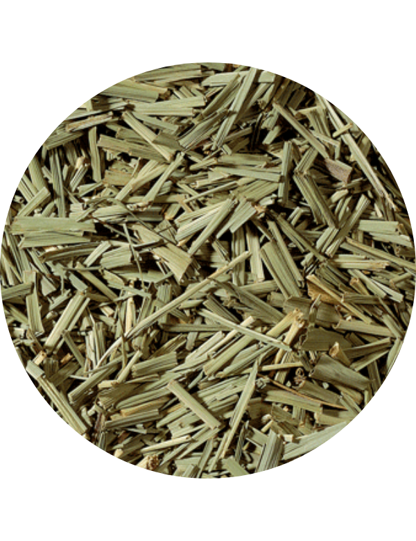 Loose Leaf Lemongrass Organic Loose Leaf Lemongrass Organic