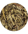 Loose Leaf Tea Bancha Organic