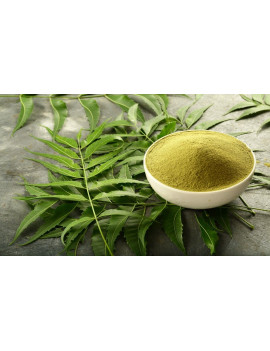 Neem Powder Organic Ayurveda