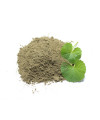 Brahmi Powder Organic Ayurveda