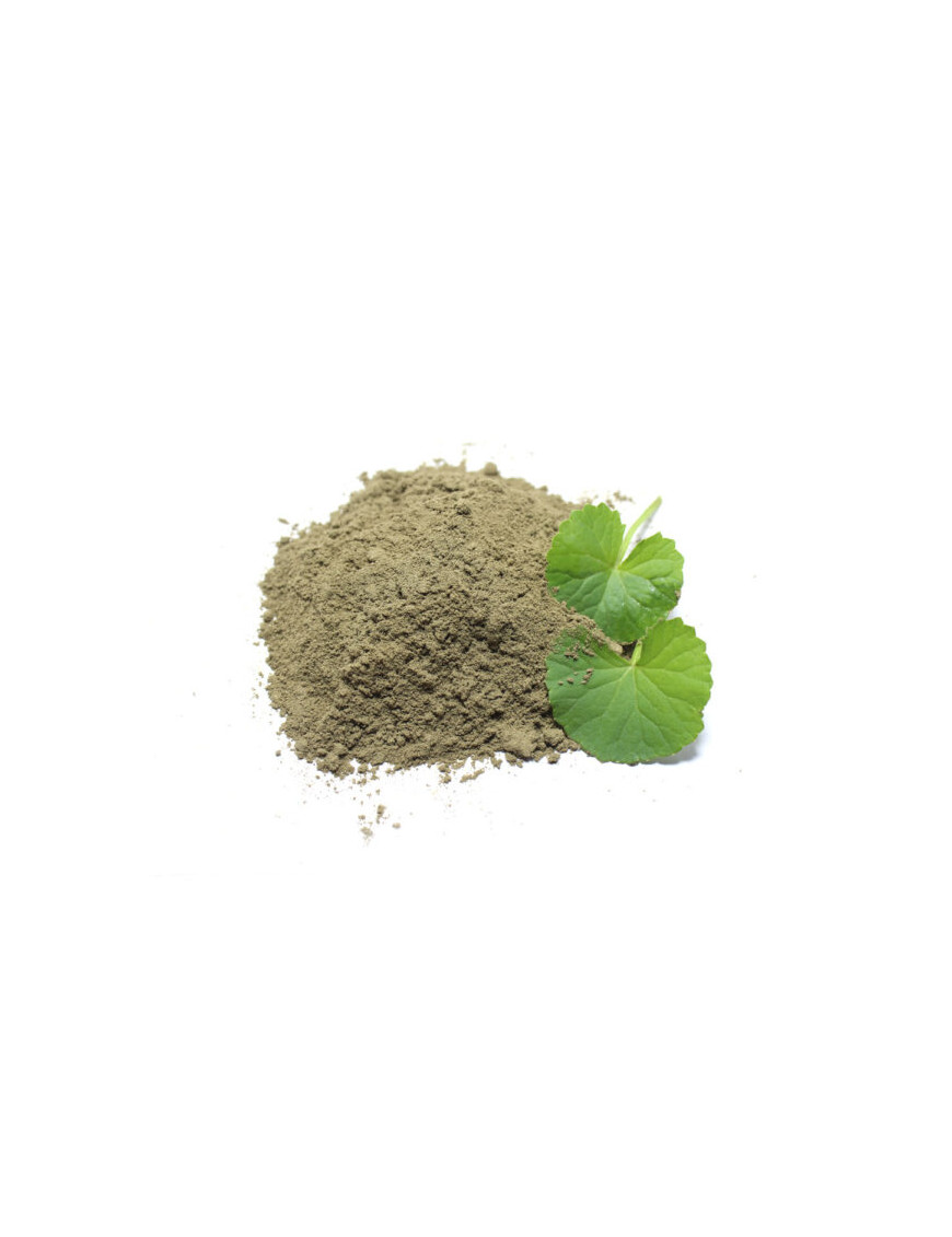 Brahmi Powder Organic Ayurveda