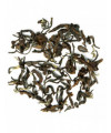 Loose leaf Oolong Oriental Beauty Superior Organic