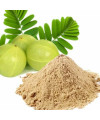 Organic Amla Powder Ayurveda Ireland