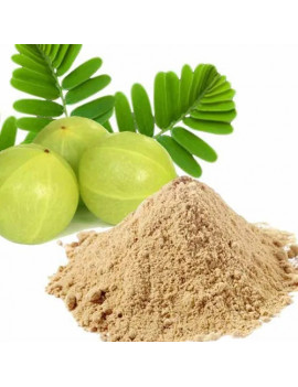 Organic Amla Powder Ayurveda Ireland