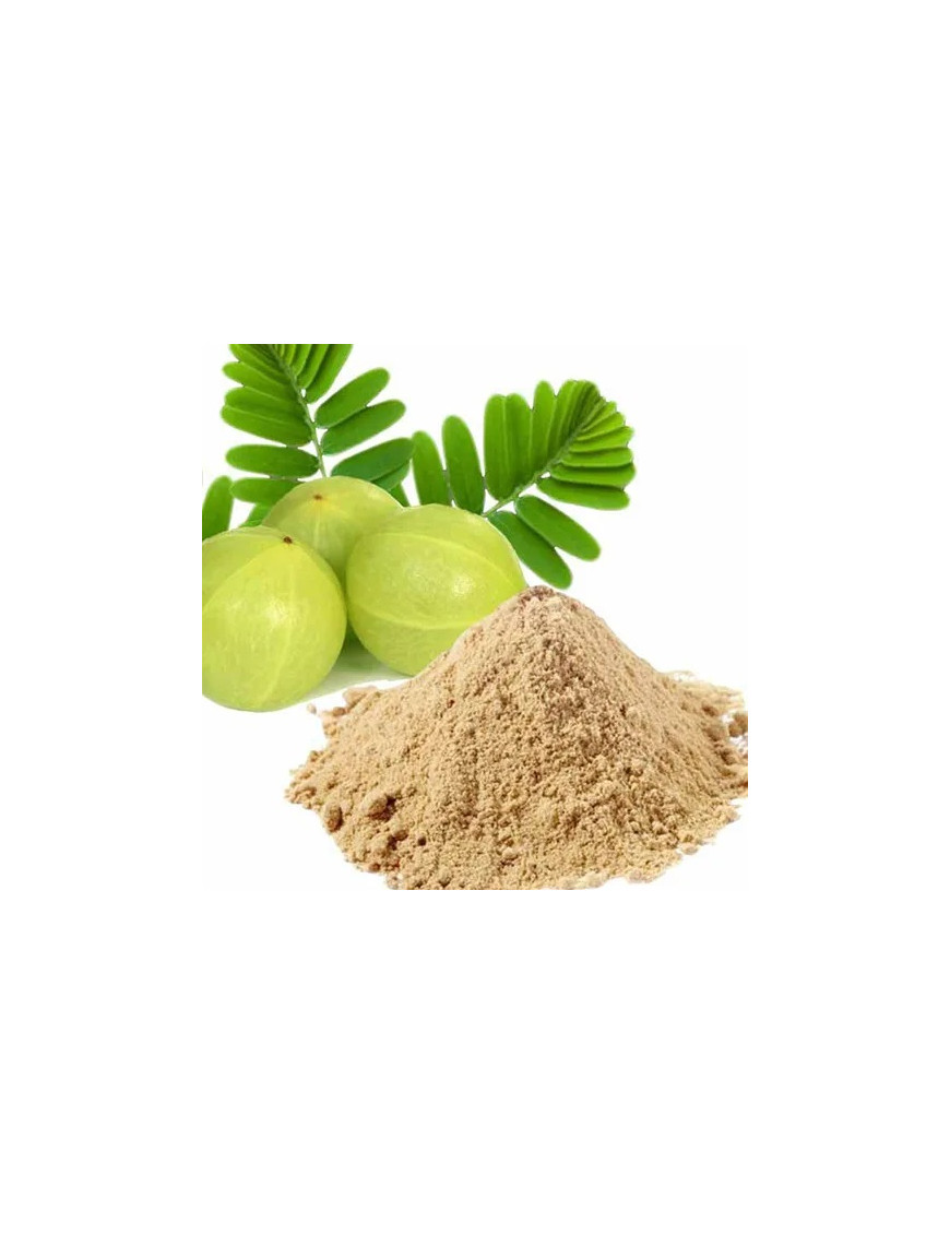 Organic Amla Powder Ayurveda Ireland