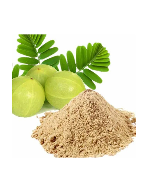 Organic Amla Powder Ayurveda Ireland