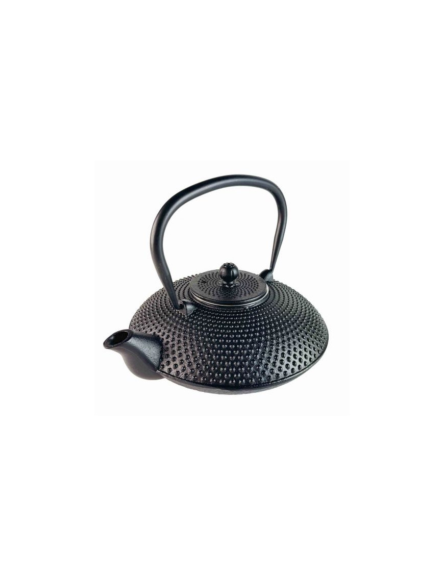 Kurogane Cast Iron Teapot – 800 ml
