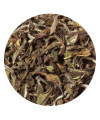 white organic loose leaf tea China Pai Mu Tan