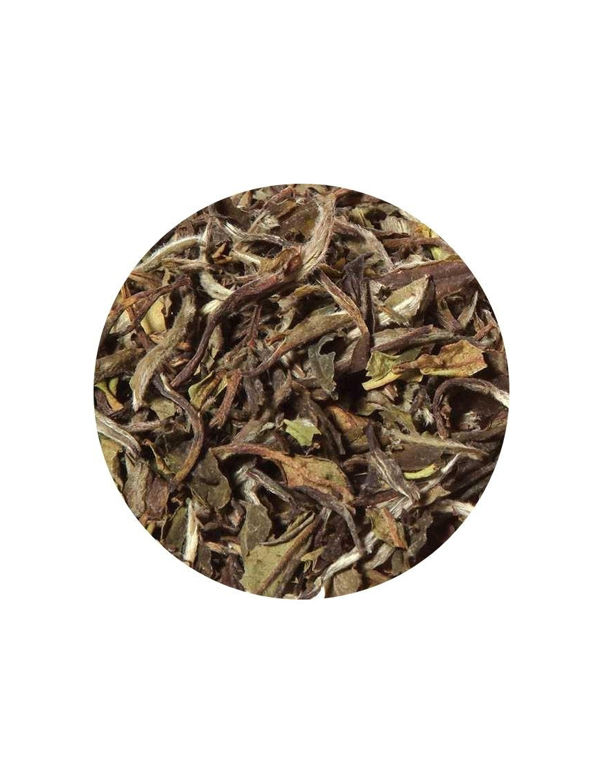 white organic loose leaf tea China Pai Mu Tan