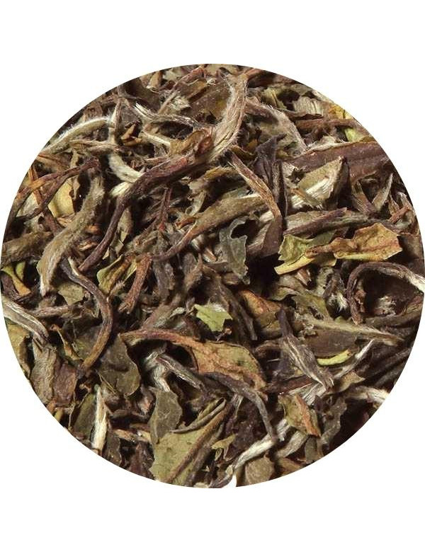 white organic loose leaf tea China Pai Mu Tan