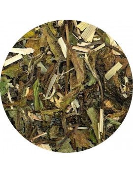 Loose leaf white tea, green tea, lemongrass, ginger, peppermint