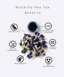Blue Butterfly Pea Tea Benefits Overview Health benefits of Blue Butterfly Pea flower with dried petals and icons in a flat lay design
