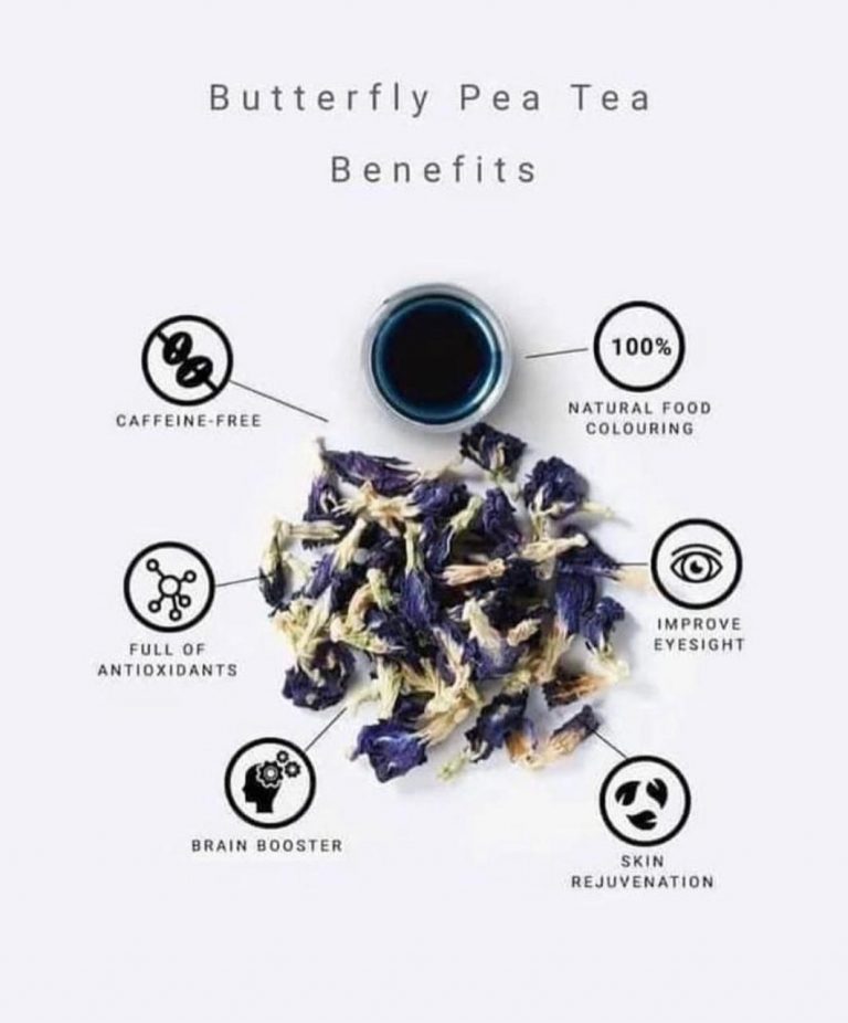 Blue butterfly pea benefits