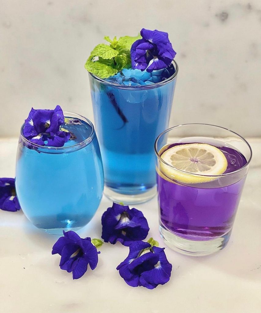 Blue Butterfly pea